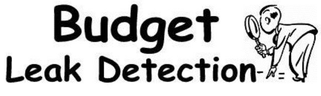 Budget Leak
Detection Website